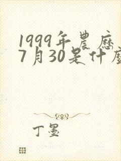1999年农历7月30是什么命