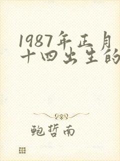 1987年正月十四出生的人命运封面