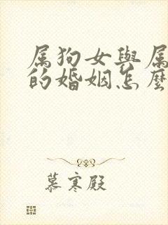 属狗女与属羊男的婚姻怎么样封面