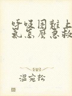 呼吸困难上不来气怎么急救