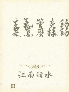 支气管炎的症状是怎么样的封面