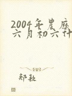 2004年农历六月初六什么命