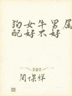 狗女牛男属相婚配好不好封面