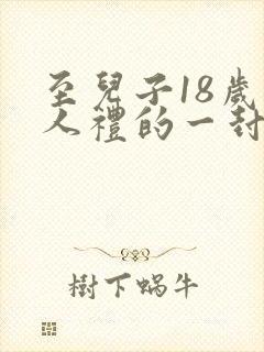 至儿子18岁成人礼的一封信封面