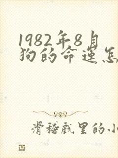1982年8月狗的命运怎么样