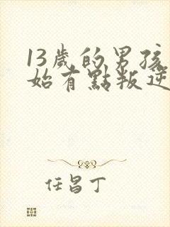 13岁的男孩开始有点叛逆了该怎么办