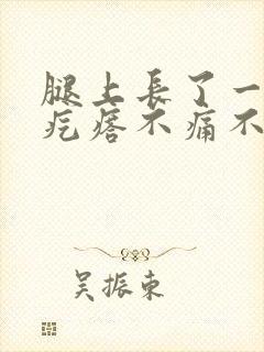 腿上长了一个硬疙瘩不痛不痒封面