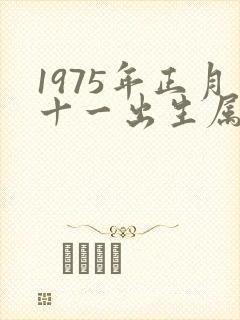 1975年正月十一出生属兔的命运如何封面
