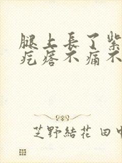 腿上长了紫色的疙瘩不痛不痒封面