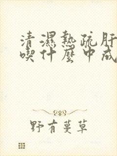 清湿热疏肝健脾吃什么中成药