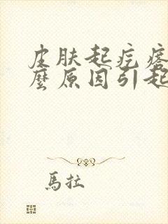 皮肤起疙瘩是什么原因引起的