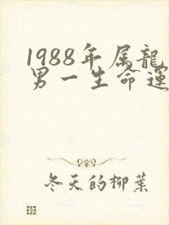 1988年属龙男一生命运及婚姻