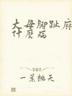 大母脚趾麻木是什么病