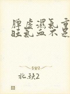 脾虚湿气重肝火旺气血不足吃什么药