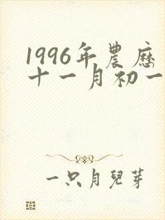 1996年农历十一月初一鼠女的命运封面