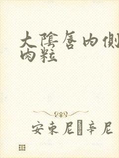 大阴唇内侧有小肉粒封面