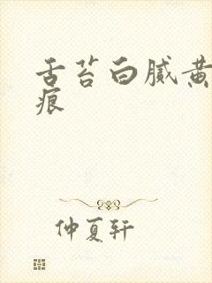 舌苔白腻黄有齿痕