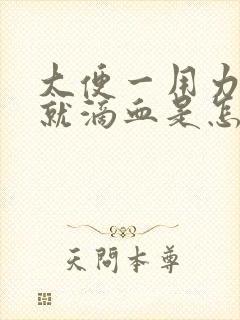 大便一用力阴道就滴血是怎么回事封面