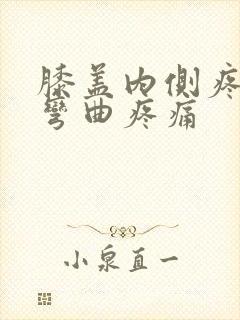 膝盖内侧疼痛 弯曲疼痛