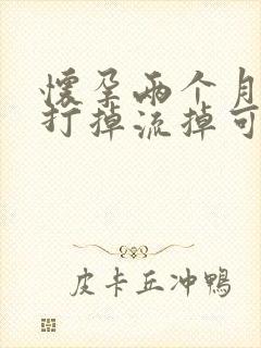 怀孕两个月药物打掉流掉可以吗封面