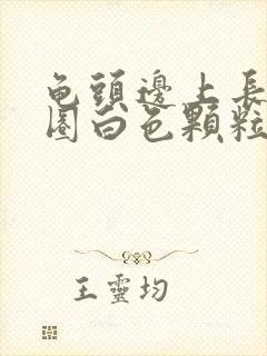 龟头边上长了一圈白色颗粒封面