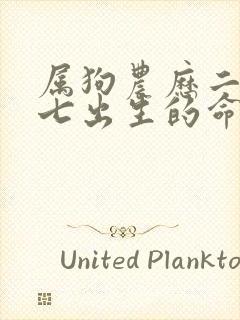 属狗农历二月十七出生的命运