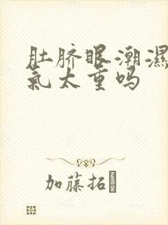 肚脐眼潮湿是湿气太重吗