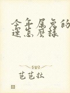 今年属兔的人命运怎么样