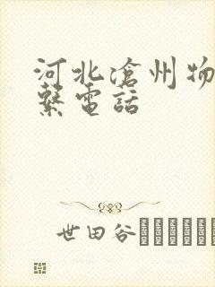 河北沧州物流联系电话