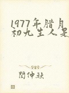 1977年腊月初九生人是什么命