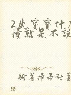 2岁宝宝什么都懂就是不说话怎么办封面