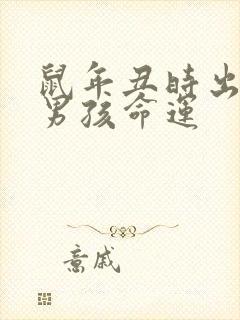 鼠年丑时出生的男孩命运