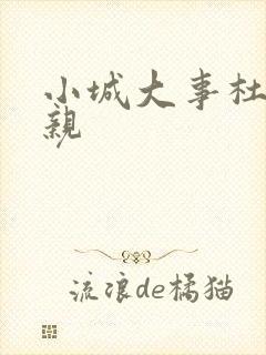 小城大事杜涛母亲