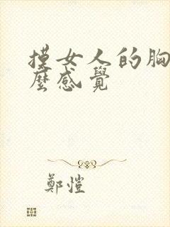 摸女人的胸是什么感觉