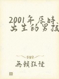 2001年辰时出生的男孩命运