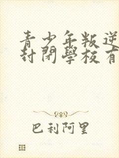 青少年叛逆正规封闭学校有效果吗