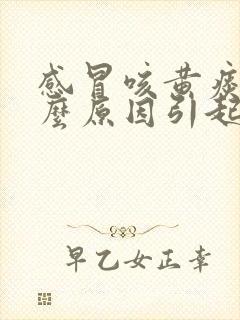 感冒咳黄痰是什么原因引起的封面