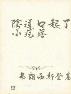 阴道口起了一个小疙瘩