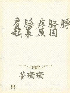 肩膀疼胳膊抬不起来原因封面