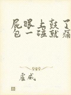 屁眼上鼓了一个包一碰就痛