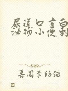 尿道口有白色分泌物小便刺痛怎么回事