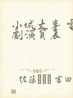 小城大事 电视剧演员表封面