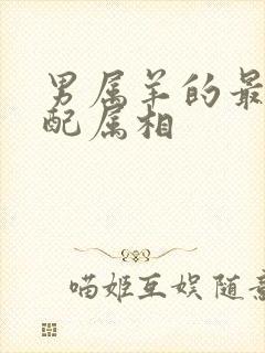 男属羊的最佳婚配属相