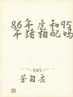 86年虎和95年猪相配吗