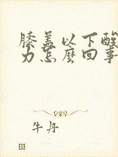 膝盖以下酸软无力怎么回事封面