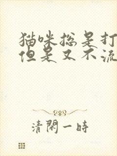 猫咪总是打喷嚏但是又不流鼻涕