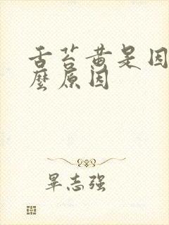 舌苔黄是因为什么原因