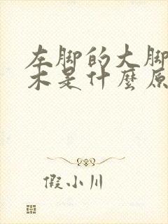 左脚的大脚趾麻木是什么原因