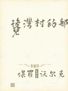 后湾村的那些事儿封面