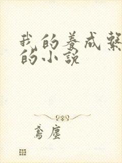 我的养成系女友的小说